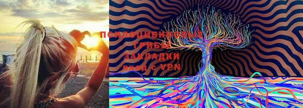 стаф Валдай