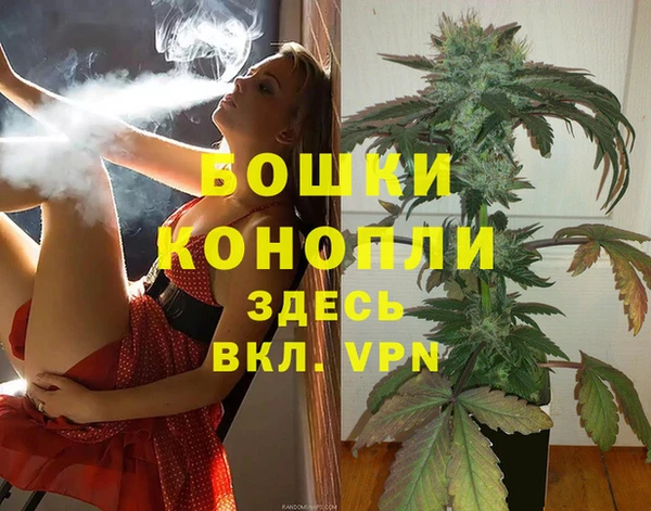 стаф Валдай